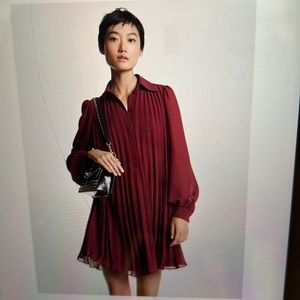 Georgette Pleated Shirtdress